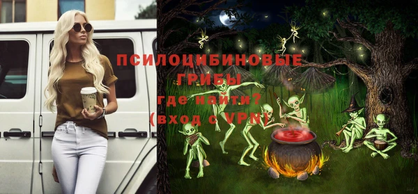 2c-b Белокуриха