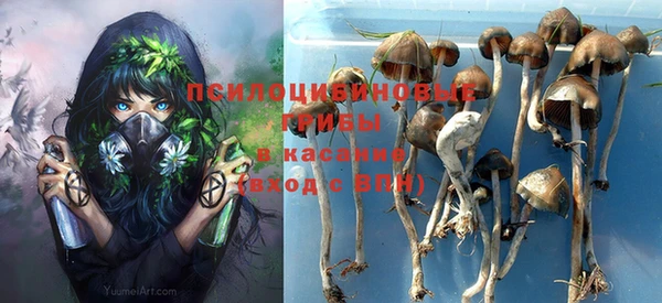 стаф Бородино