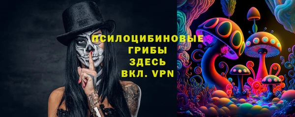 стаф Бородино