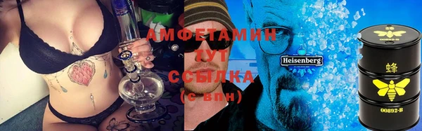стаф Бородино