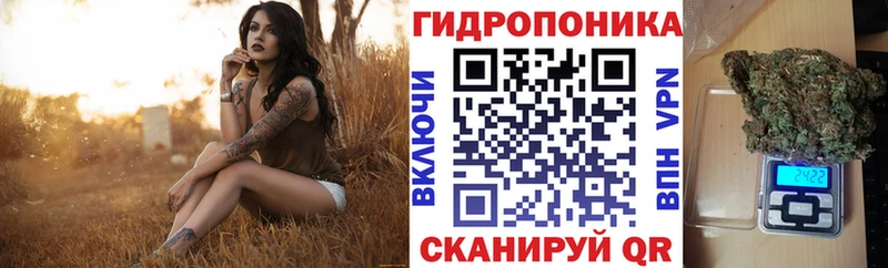 Бошки Шишки OG Kush  Дигора 